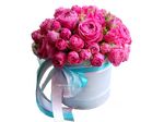 Бургундия